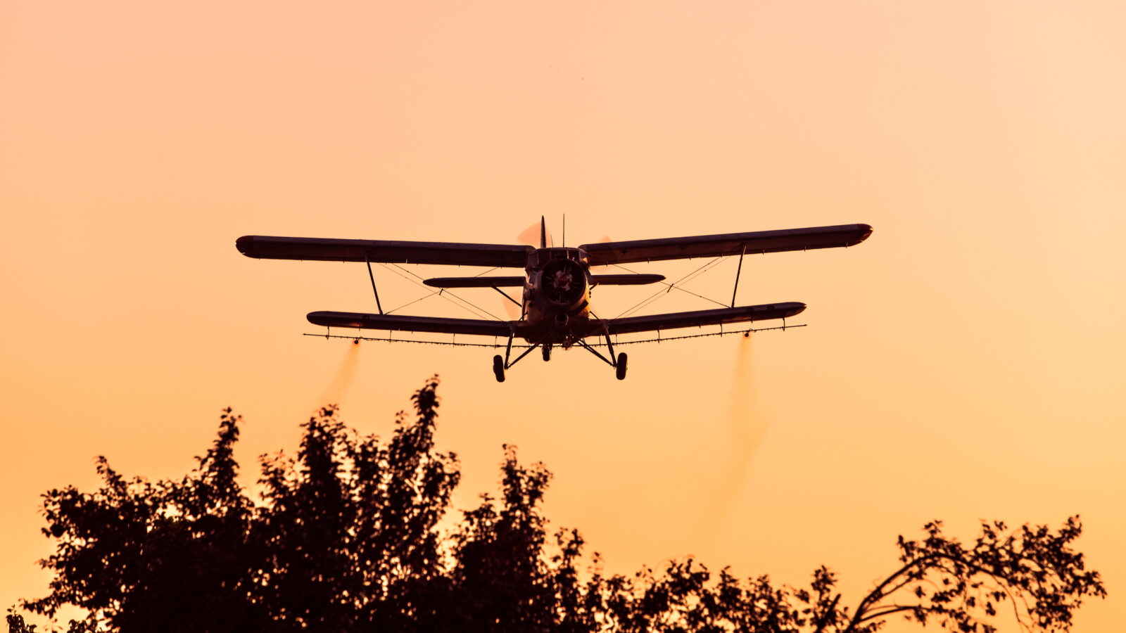 Cropduster plane spraying mosqitos