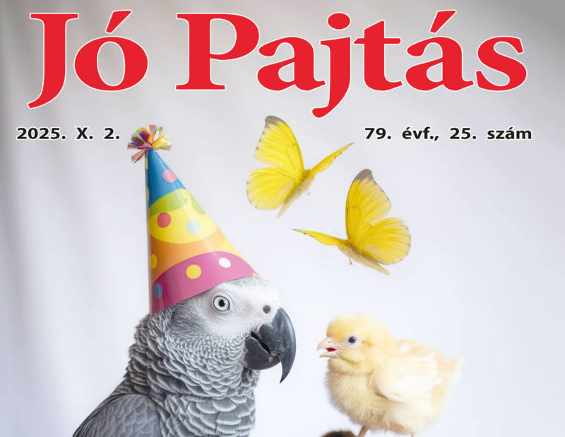 nyitokep jo pajtas 2025 okt 2