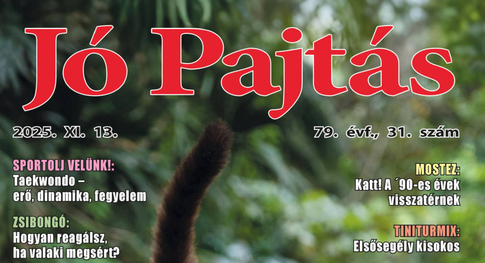 nzitokep jo pajtas 2025 nov 13