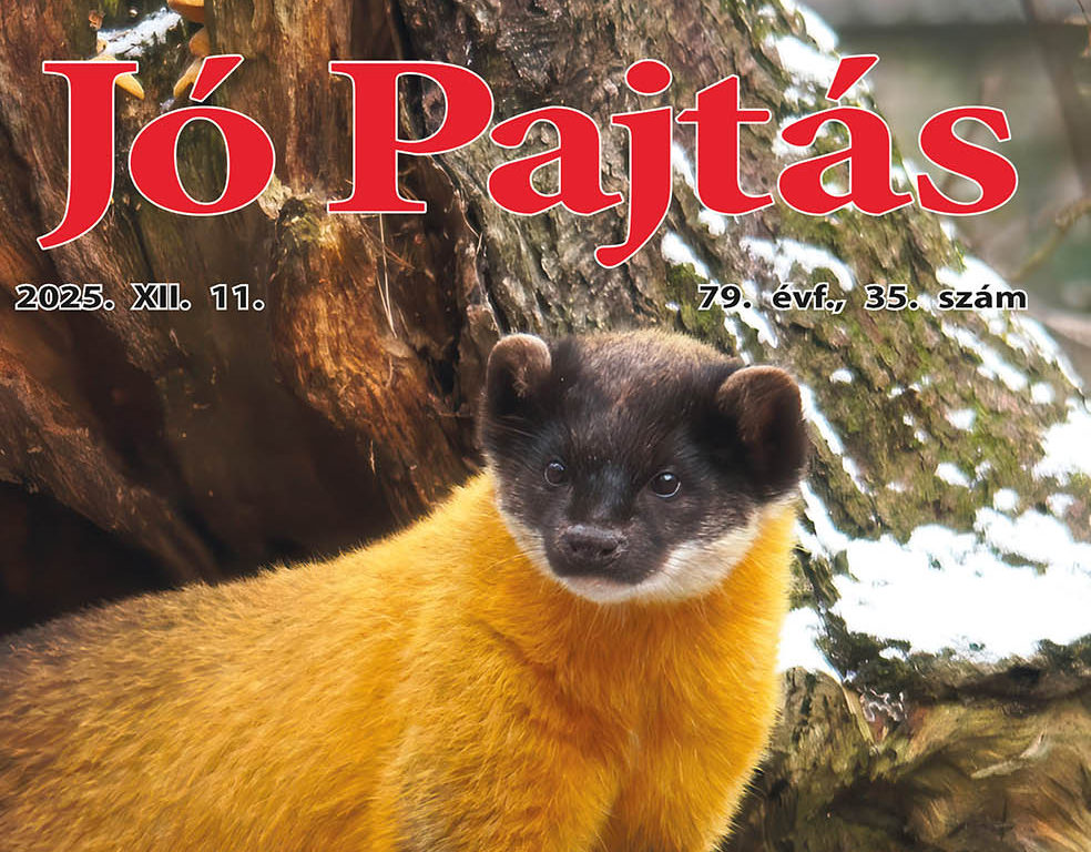 nyitokep jo pajtas 2025 dec 11