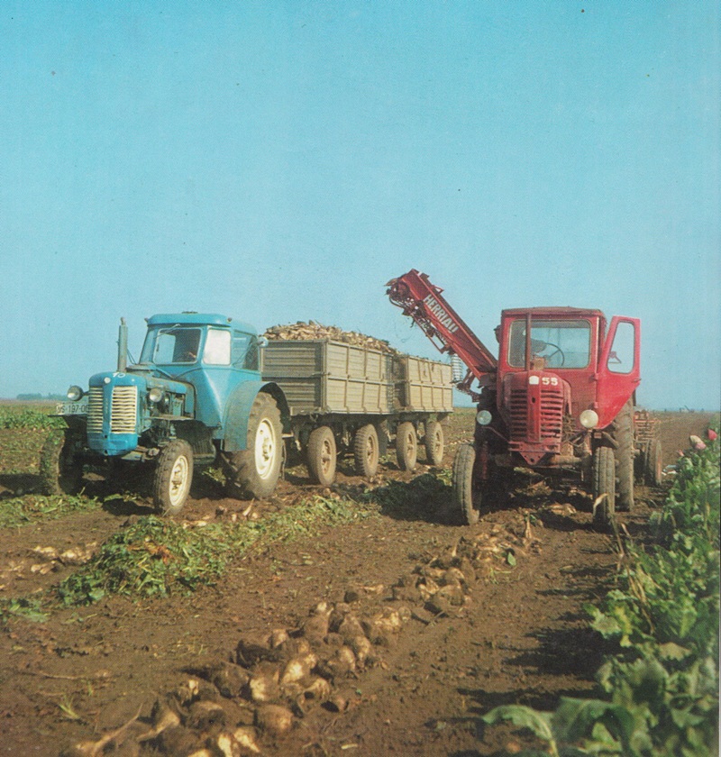 szenttamasi elan tortenete 2025 dec 28 5