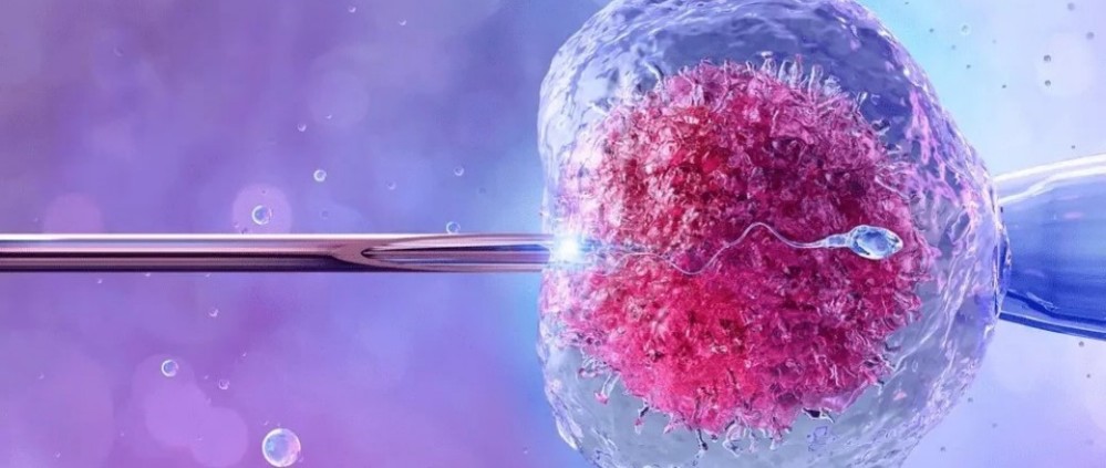 mesterseges magtermekenyites illusztracio