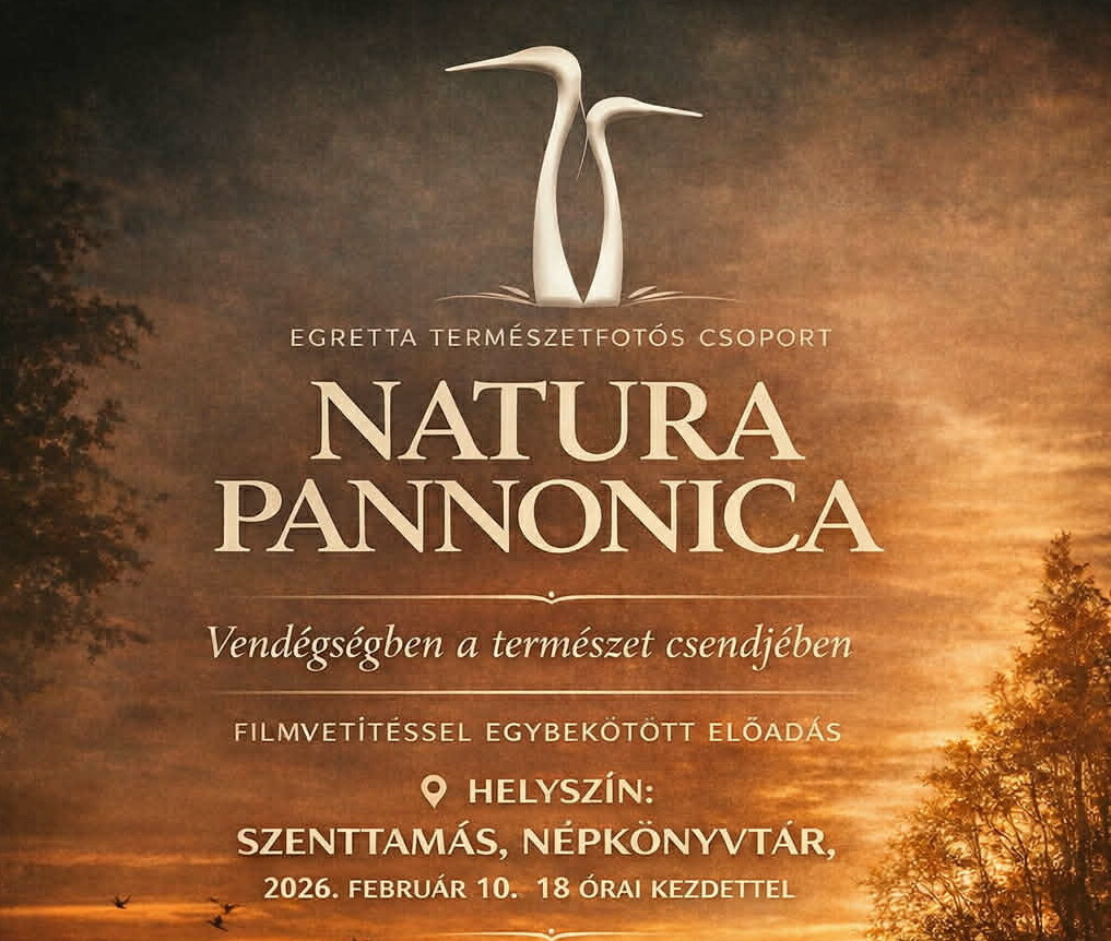 nyitokep egretta 2026