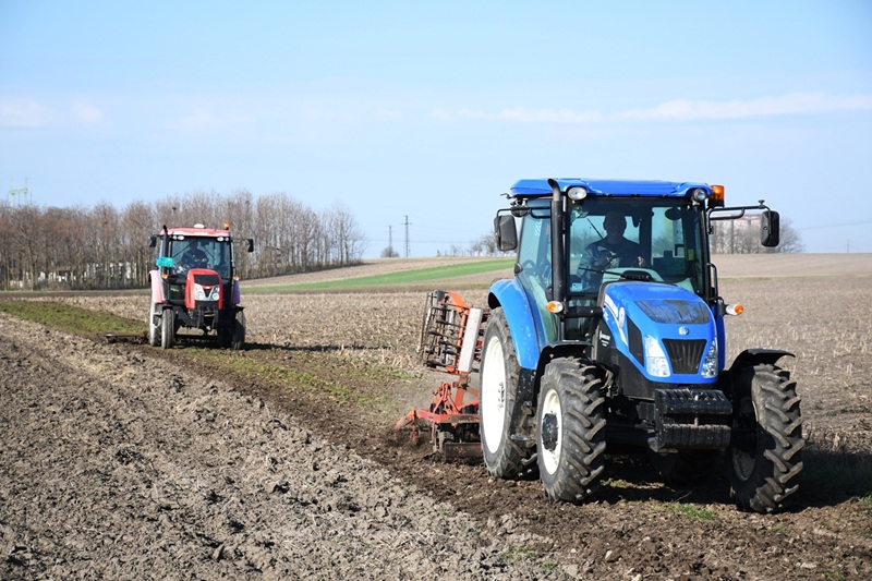 duloutak rendezese 2026 marc 14 6