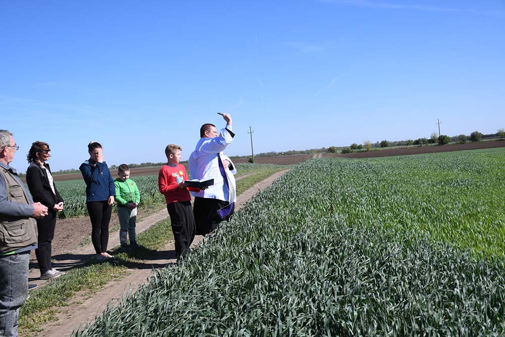 buzaszenteles 2026 apr 26 3