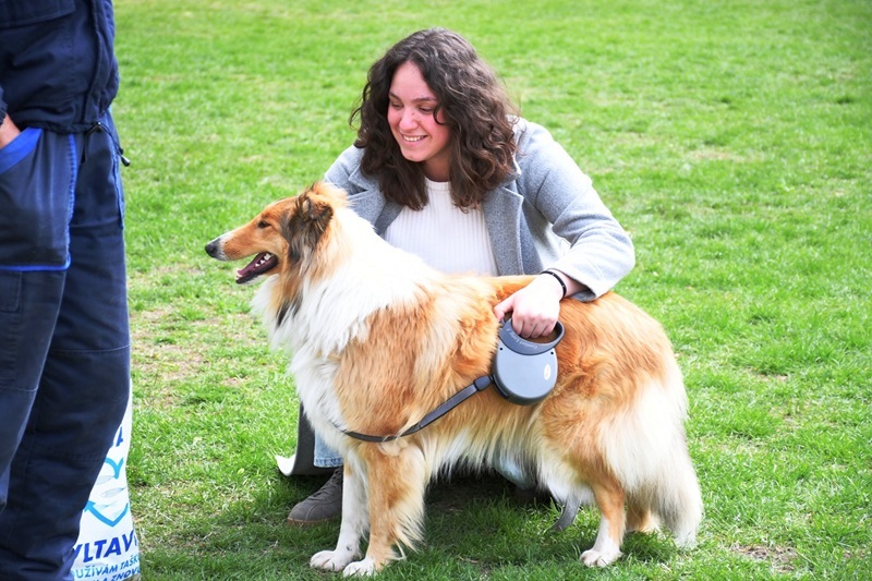 kutyakiallitas szenttamason 2026 apr 16 4