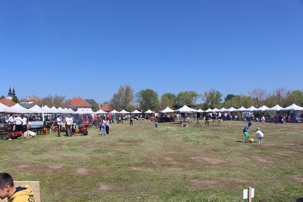 malacsutes 2026 apr 18 7