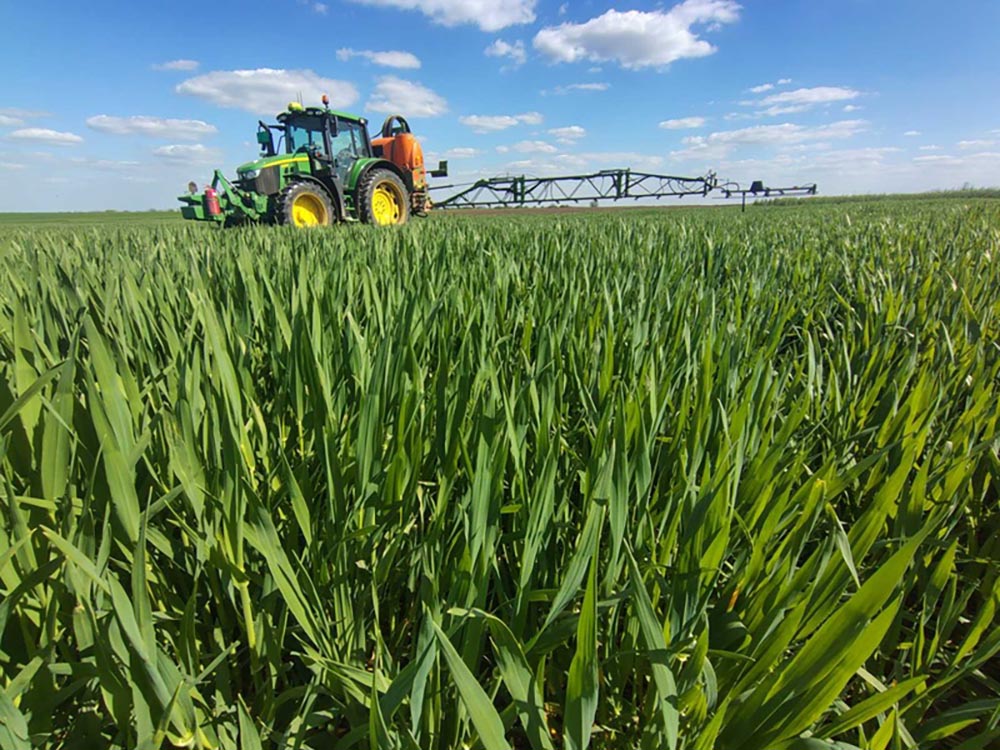 mezogazdasag buza permetezese 2026 apr 16