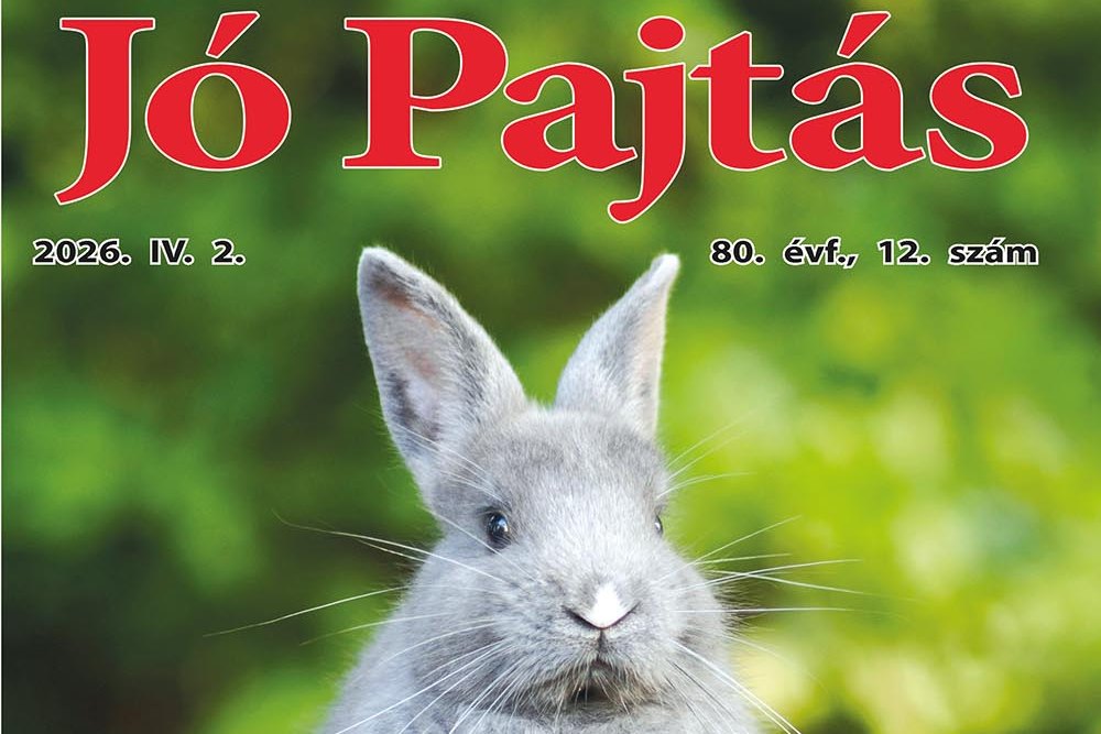 nyitokep jo pajtas 2026 apr 2