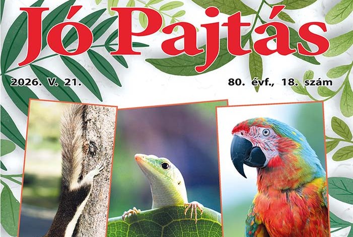 nyitokep jo pajtas 2026 maj 21