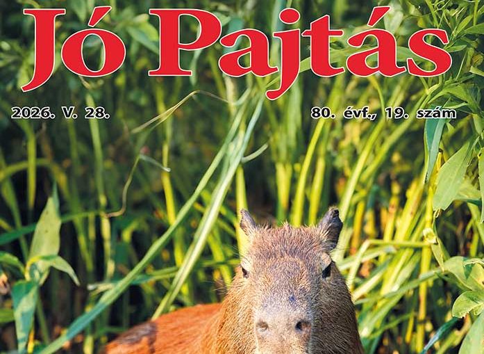nyitokep jo pajtas 2026 maj 28